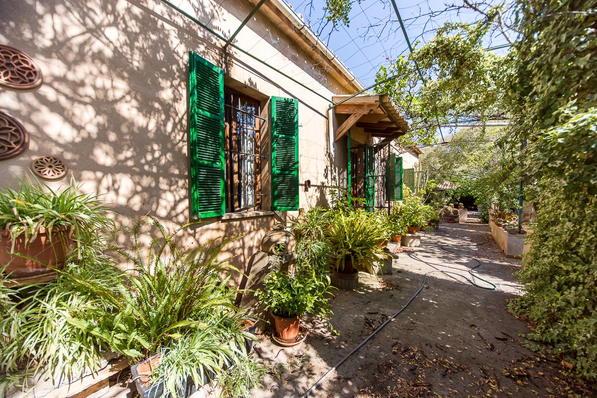 Rustikale Finca mit großem Grundstück und vielen Möglichkeiten-zu kaufen