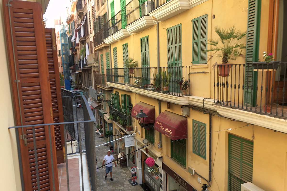 Neubau-Loft-Wohnung mit Küchengalerie und großer Terrasse nahe der