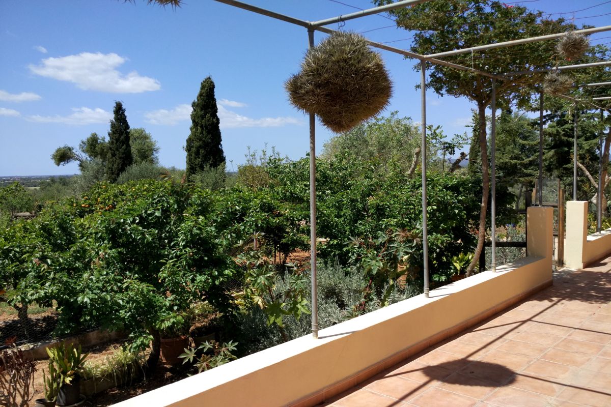 Mallorquinisches Landhaus mit Weitblick bei Campos - mieten