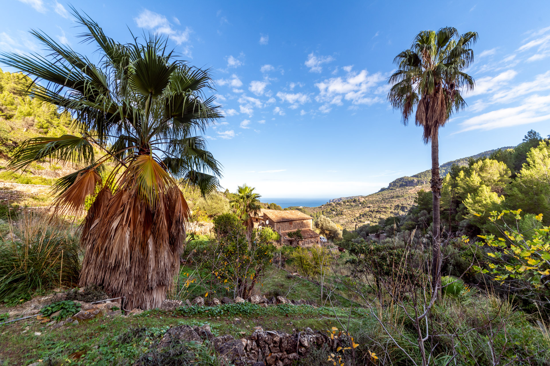Large rustic finca in the mountains, only a few minutes from Deiapurchase